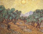 Vincent Van Gogh, Olive Trees with Yellow Sky and Sun (nn04)